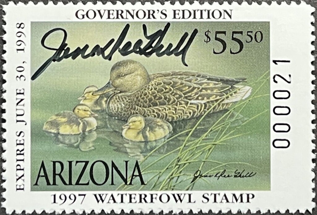 Mapuche Culture, Andean Vertical Loom