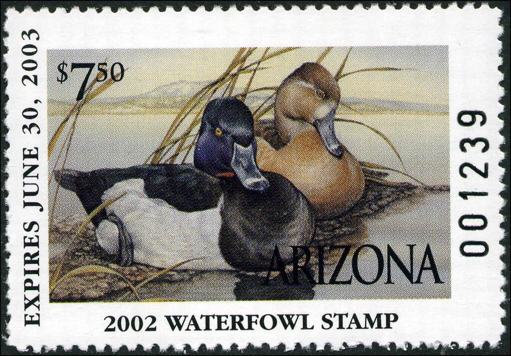 Football World Cup, 2010, South Africa