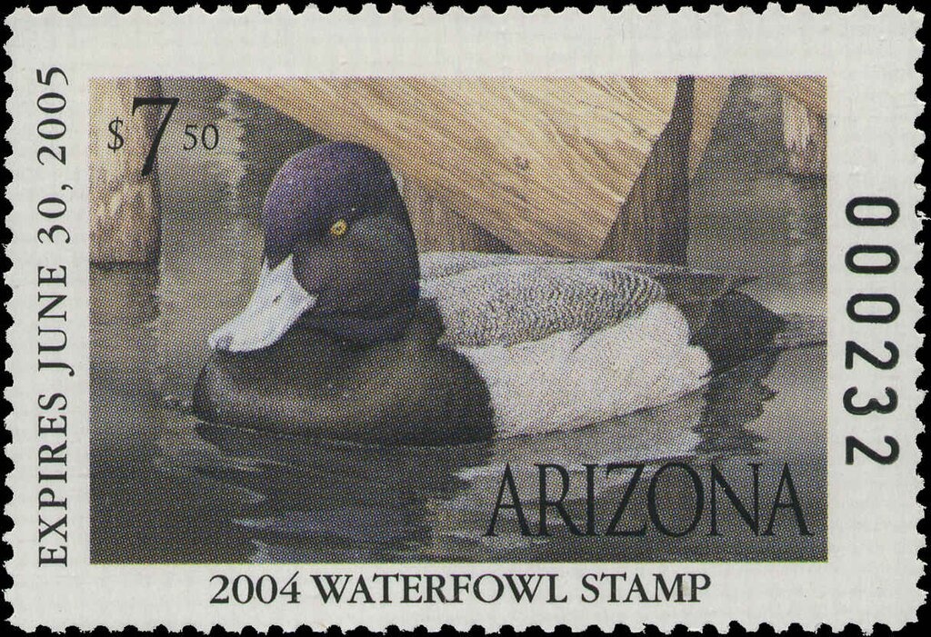 Moth (Rethera komarovi)