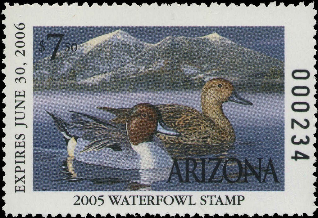 View of Ruins of Ani Cathedral (X c. AD)