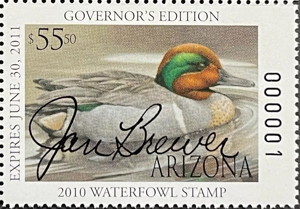 Yellow-headed Caracara (Milvago chimachima), overprinted