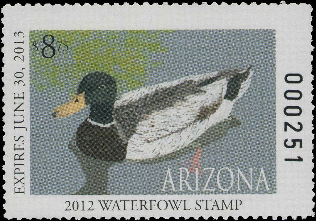 Armenian Mouflon (Ovis gmelini gmelini)