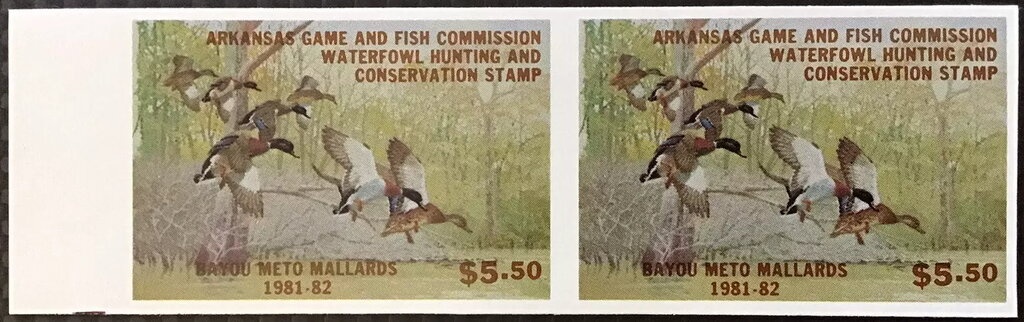 Karmir Nakhidgevanik Apricots (Armeniaca vulgaris)