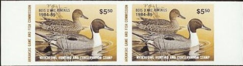 Gadwall (Anas strepera)