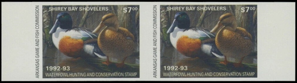 Yellow-headed Caracara (Milvago chimachima), Setting Sun