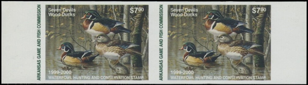 Horsfield's Tortoise (Testudo horsfieldii)