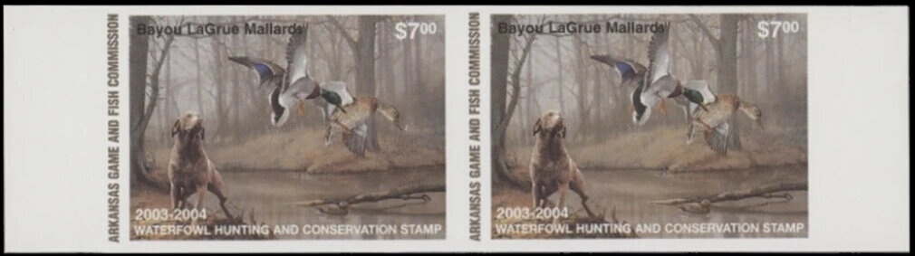 Turkish Van (Felis silvestris catus) - Overprint