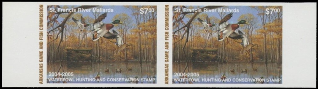 Sevan Trout (Salmo ischchan gegarkuni)