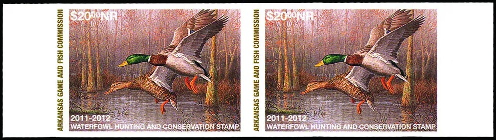 Caucasian Leopard (Panthera pardus ciscaucasica)