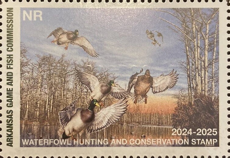 Pope Francis - Visit to the First Christian Nation