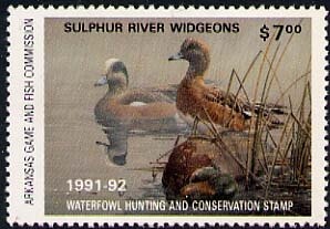 Chukar Partridge (Alectoris chukar)