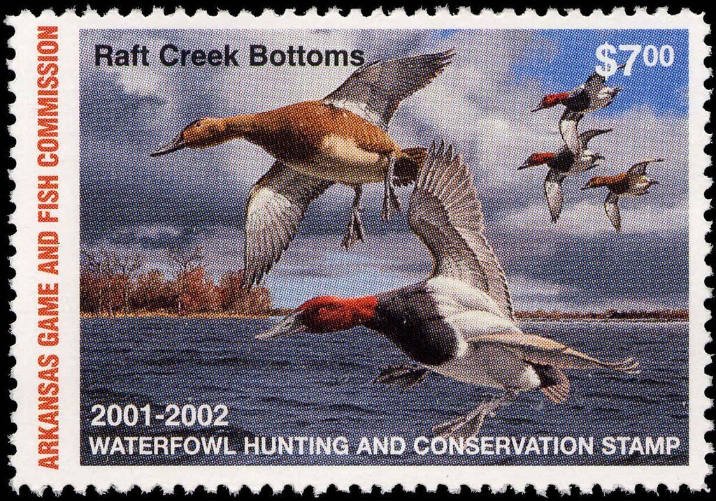 Water Carrier - Surcharge