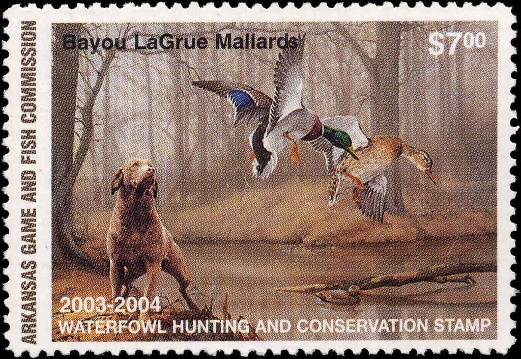 Ciruelo Japones (Japanese plum) - Prunus salicina