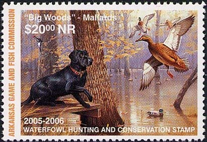 Tafi Culture, Funerary Mask