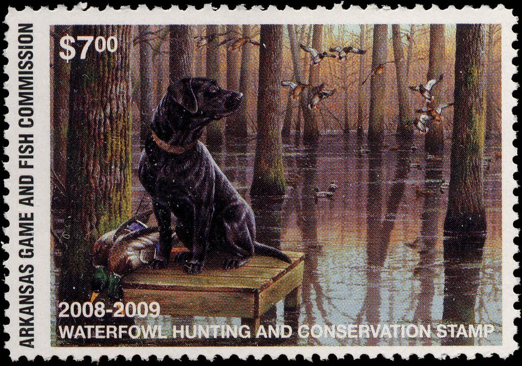 UP - UNASUR. Latin American Integration