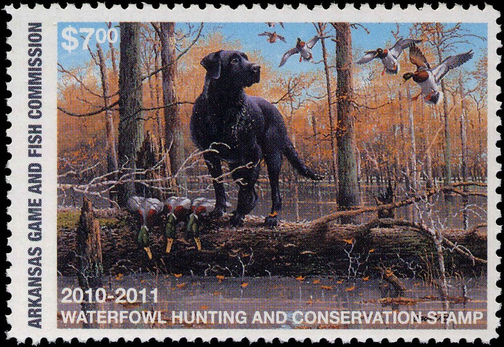 José Francisco de San Martín (1778-1850), ovpt. “M.I.”