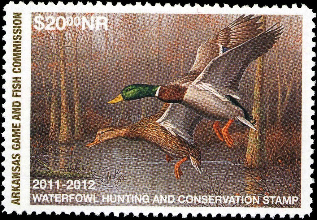 Flight Allegory, Aircrafts