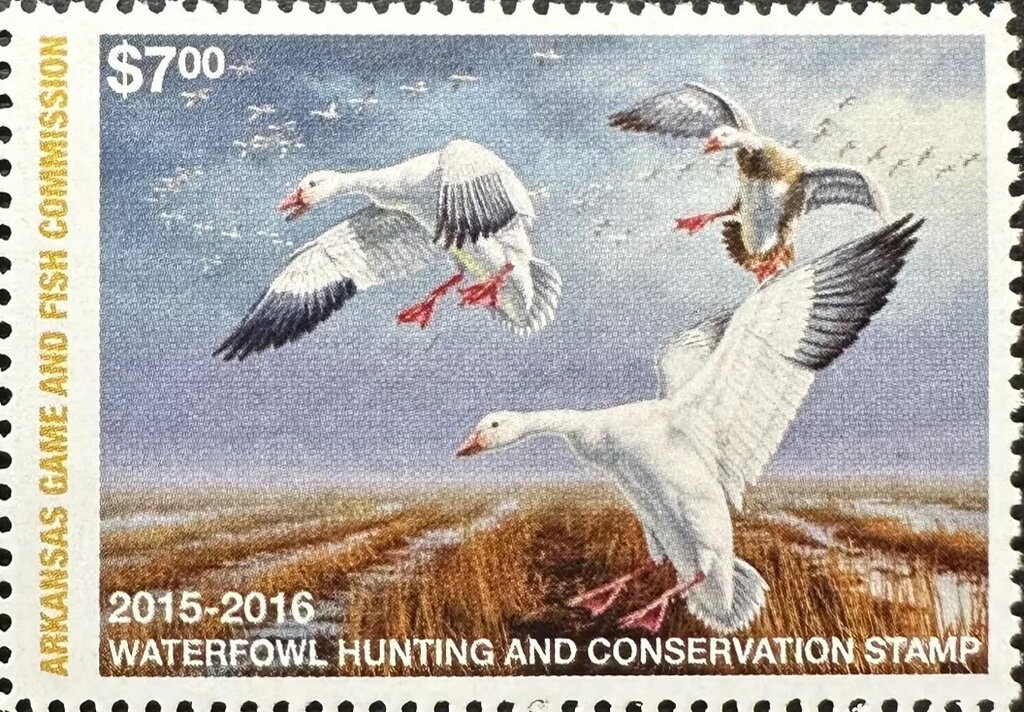 José Francisco de San Marftin (1778-1850), ovpt. "M.R.C."