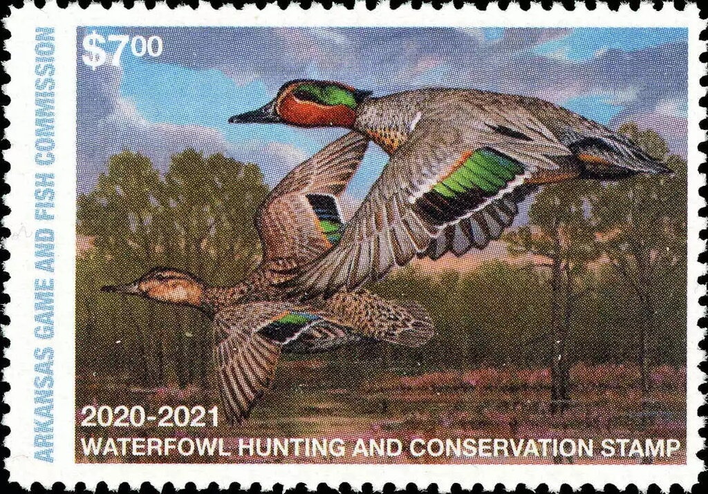 Inca Bridge, Mendoza, ovpt.