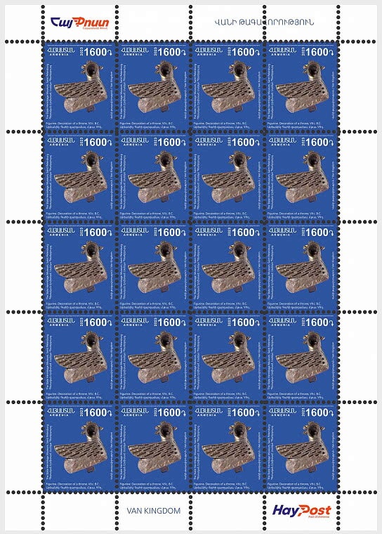 Northern pintail (Anas acuta)