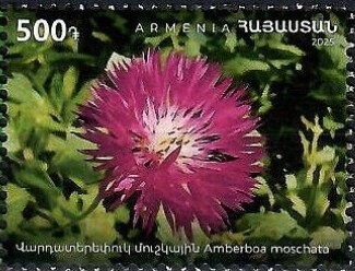 José Francisco de San Martin (1778-1850), ovpt. "M.M."