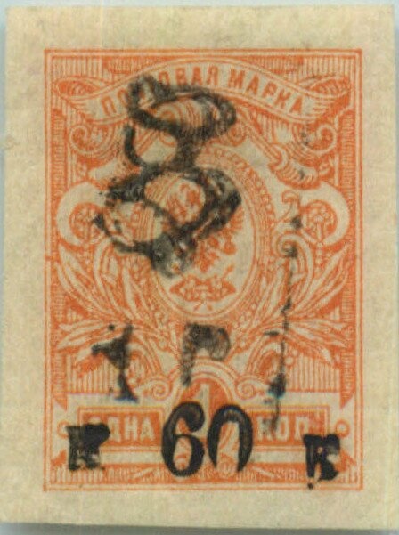 Northern pintail (Anas acuta)