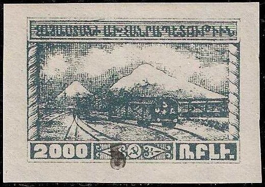 Mallard (Anas platyrhynchos)