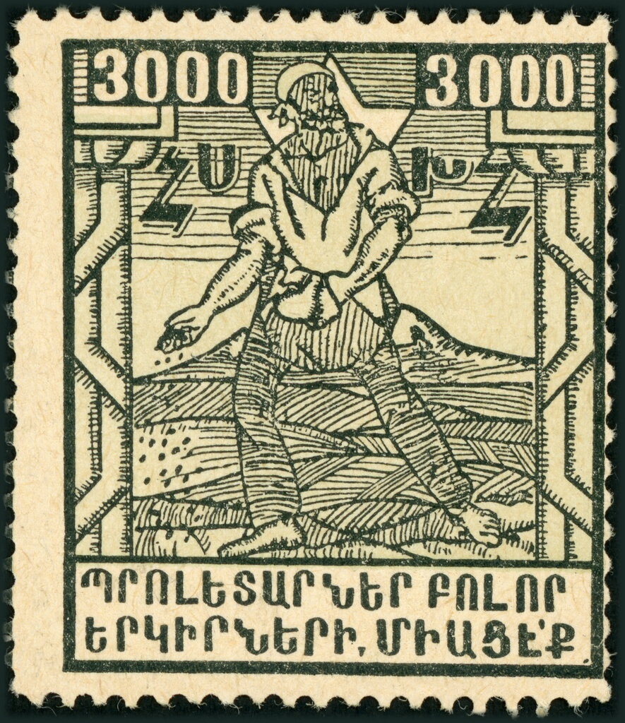 Mallard (Anas platyrhynchos)