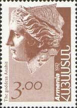 Falletti's Ground Beetle (Procerus scabrosus fallettianus)