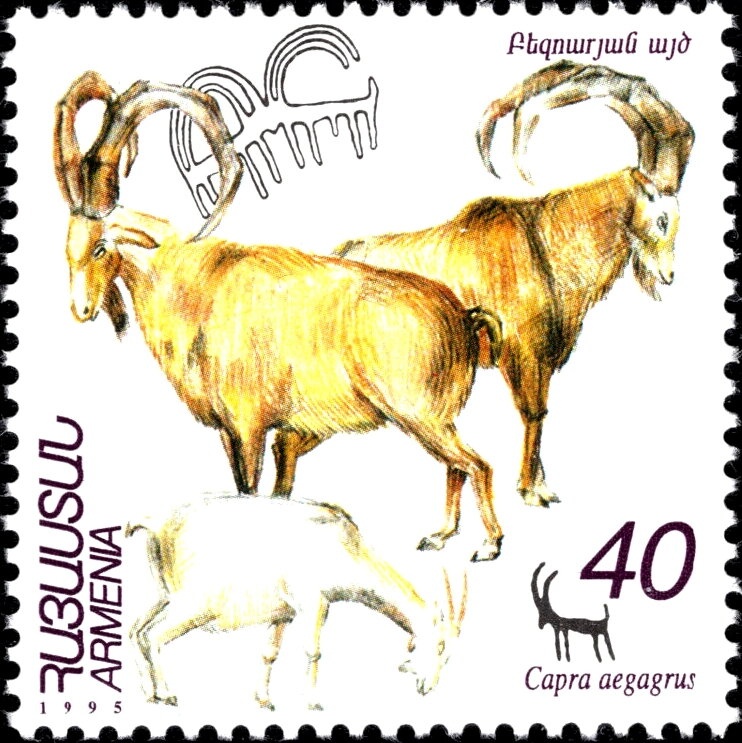 Servicio Sanitario - Municipal coat of arms