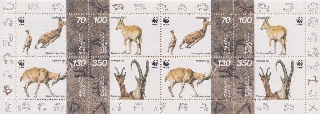 Jug and Grapes, Vineyard in Front of Ararat