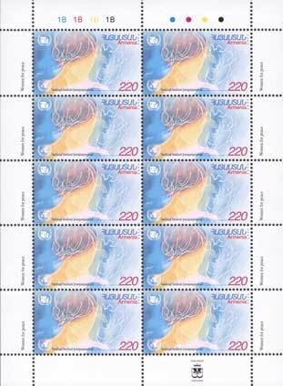 Northern pintail (Anas acuta)