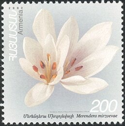 Peasant and Mount Ararat, surcharged