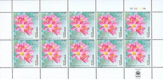 Olympic Champions (III)