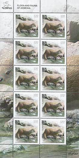 2020 Aurora Prize Laureate: Fartuun Adan and Ilwad Elman