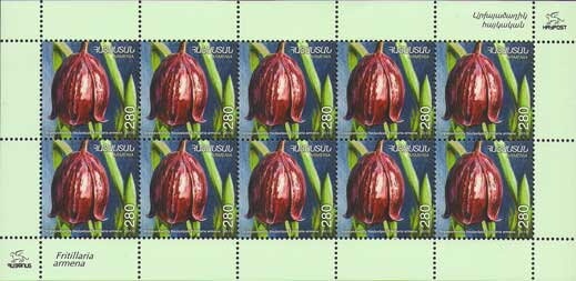 37th World Chess Olympiad 2006, Turin