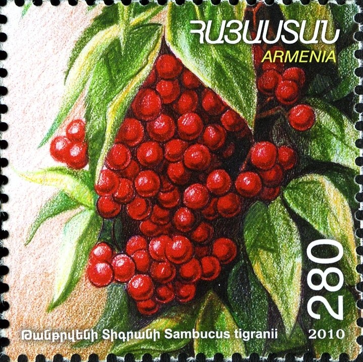 Buenos Aires Bills of exchange