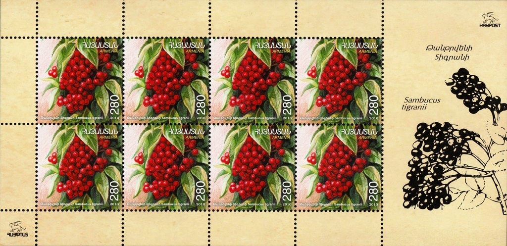 Russian Officer Cemetery, Gyumri