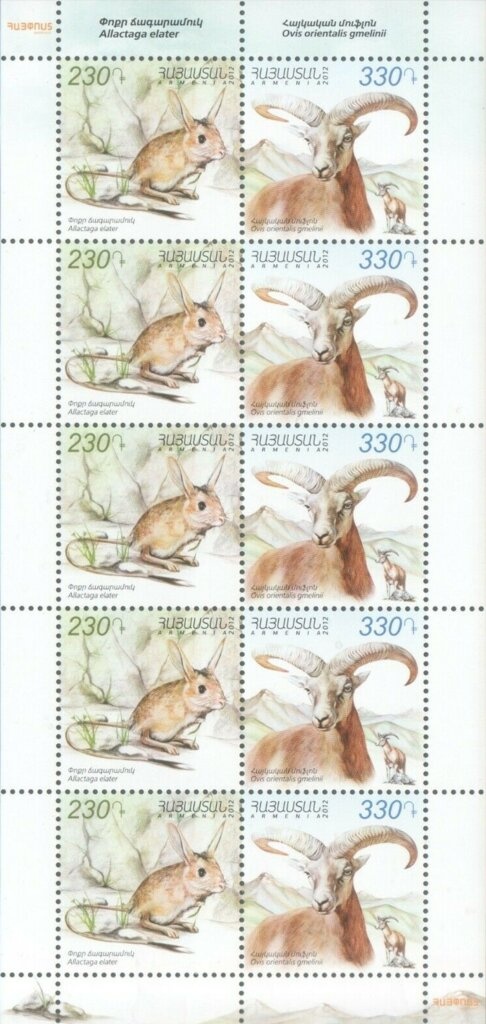 National Social Security