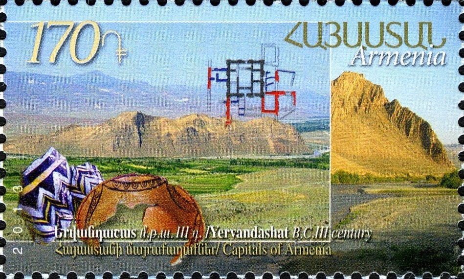 Mallard (Anas platyrhynchos)