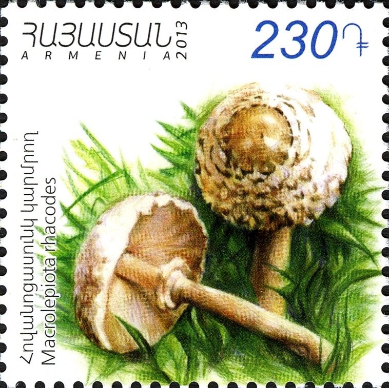 Yants bridge. XVIII c. Northern Artsakh