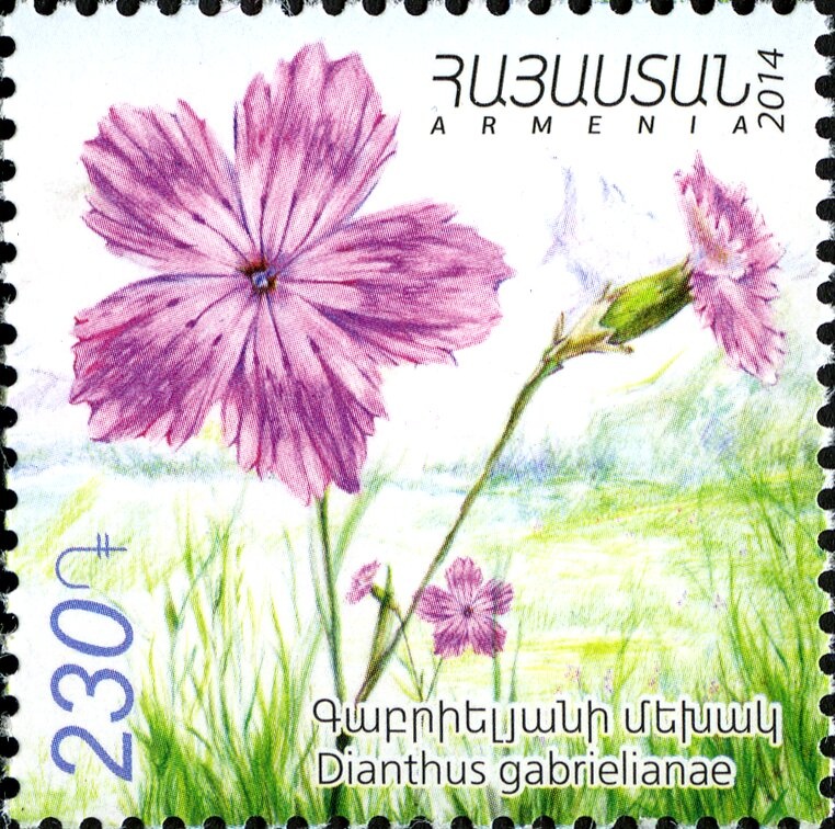 Esteban Eceverría (1805-1851), ovpt.