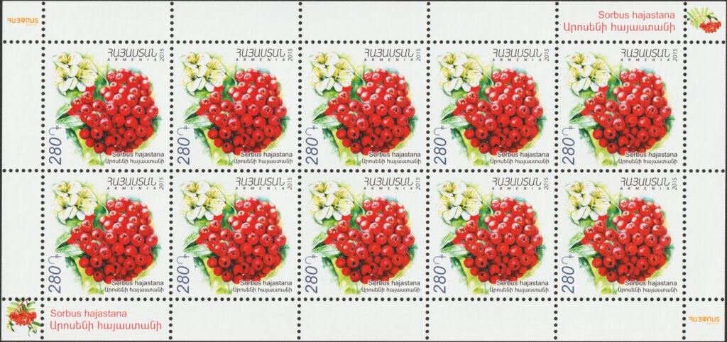 USSR Stamps Overprinted