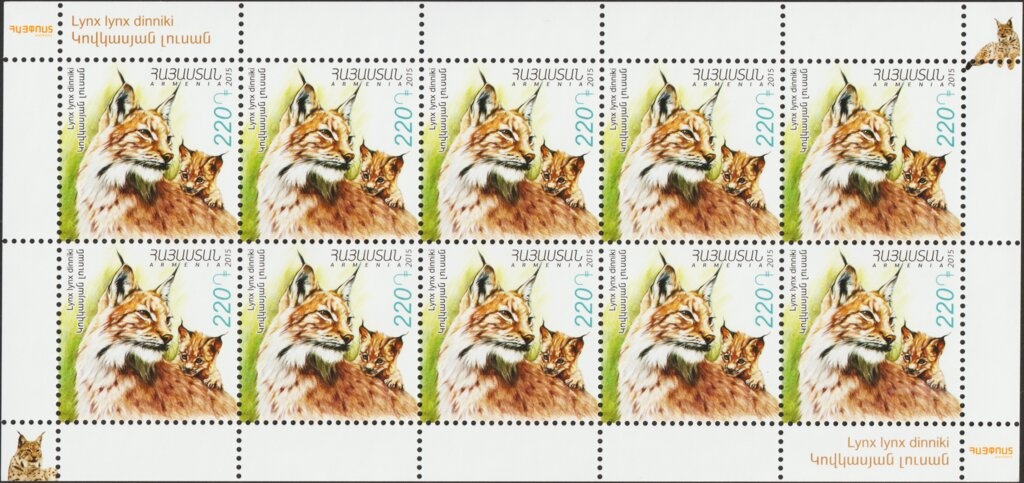 Football World Cup 2014, Brazil