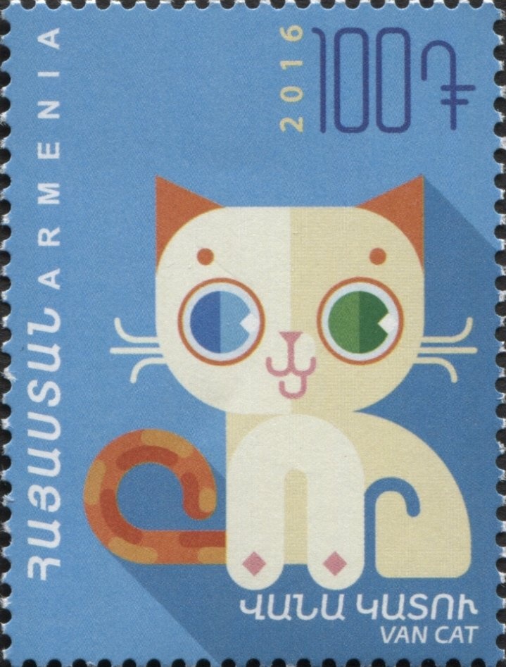 Snow goose (Anser caerulescens)