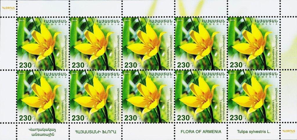 Self Portrait, Yeghishe Tadevossian (1933)