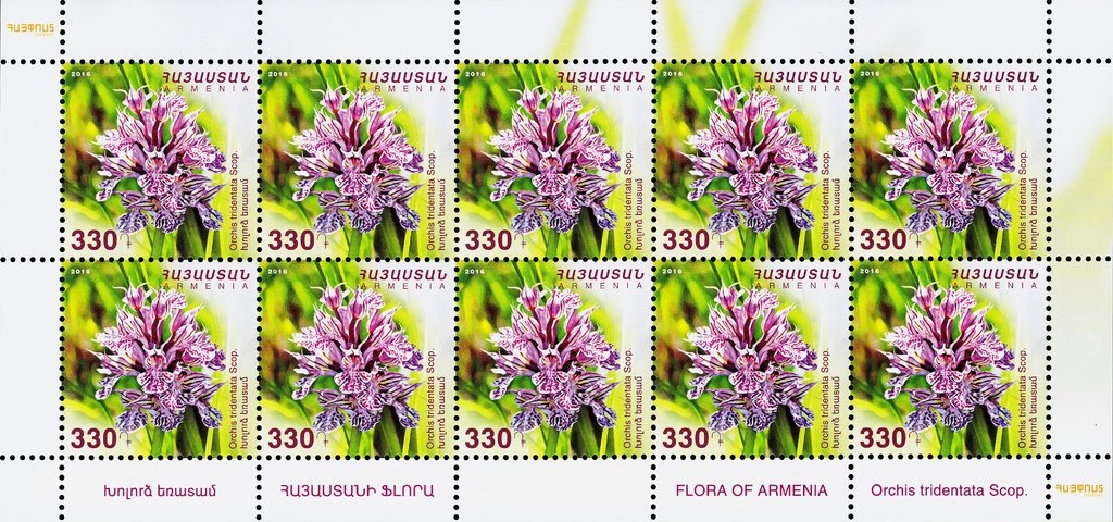 Documents - Municipal coat of arms