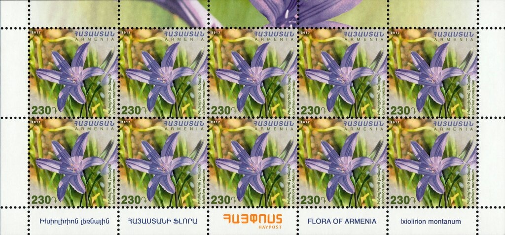 Christmas Tree, Snowy Forest