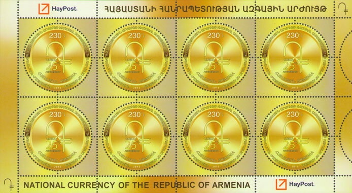 Northern pintail (Anas acuta)