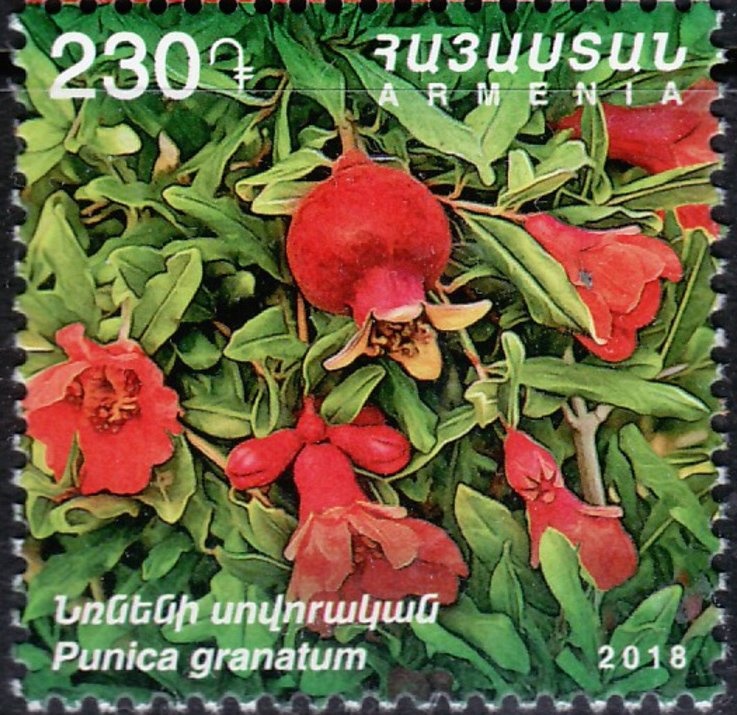 170th Anniversary of Catholicos Gevorg V Soureniants